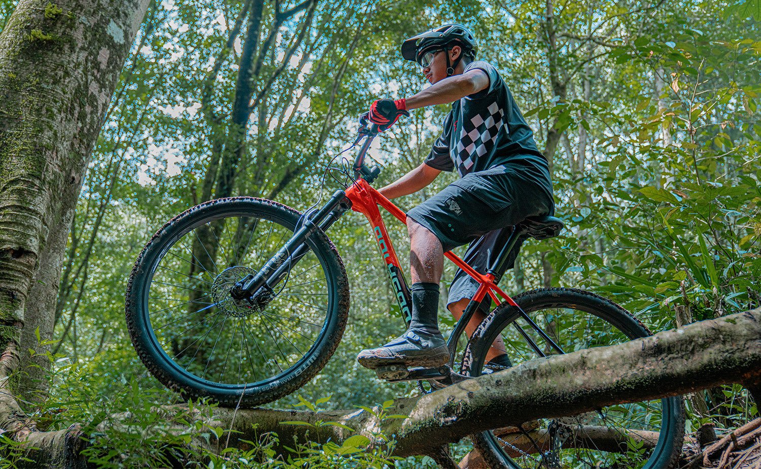 Polygon Syncline C5 - Carbon Mountain Bike - Image 11