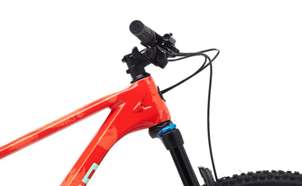 Polygon Syncline C5 - Carbon Mountain Bike - Image 7
