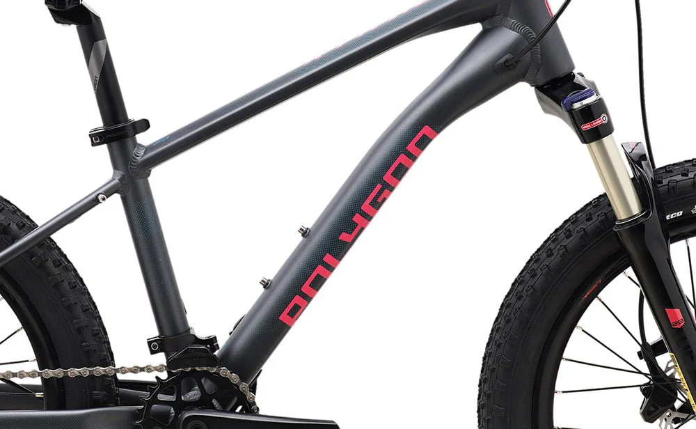 Polygon Xtrada 20 - Kids Mountain Bike - Image 3