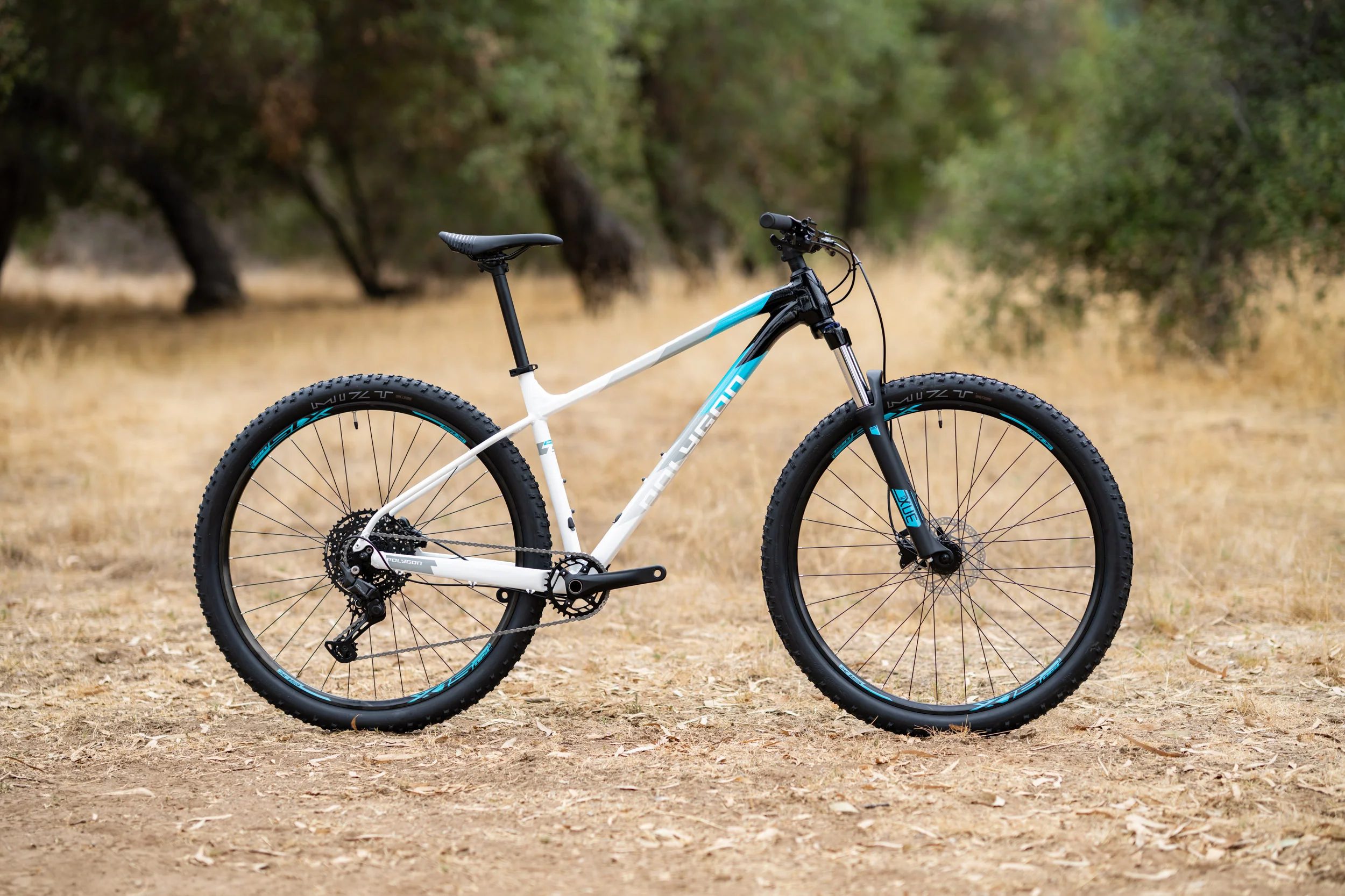 Polygon Xtrada 5 - Mountain Bike - Image 5