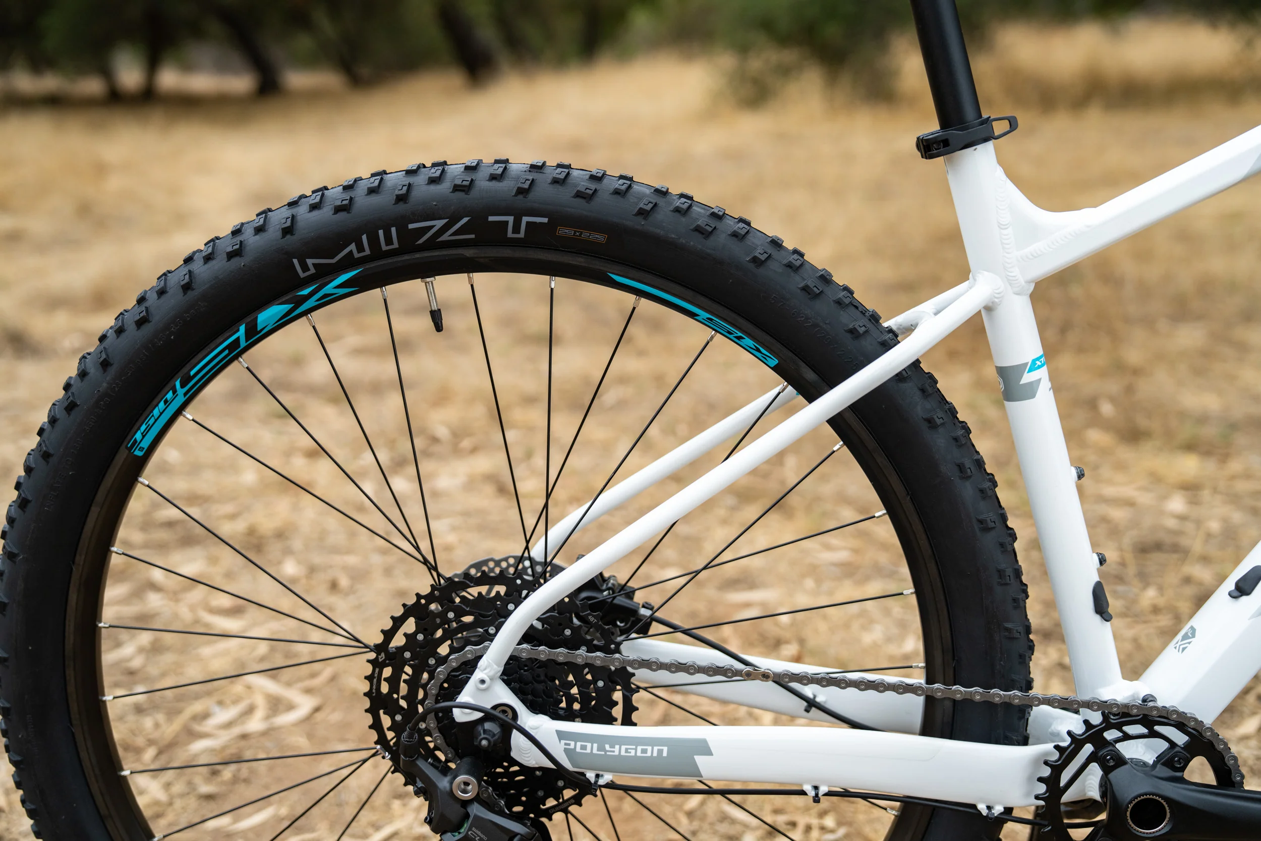 Polygon Xtrada 5 - Mountain Bike - Image 7