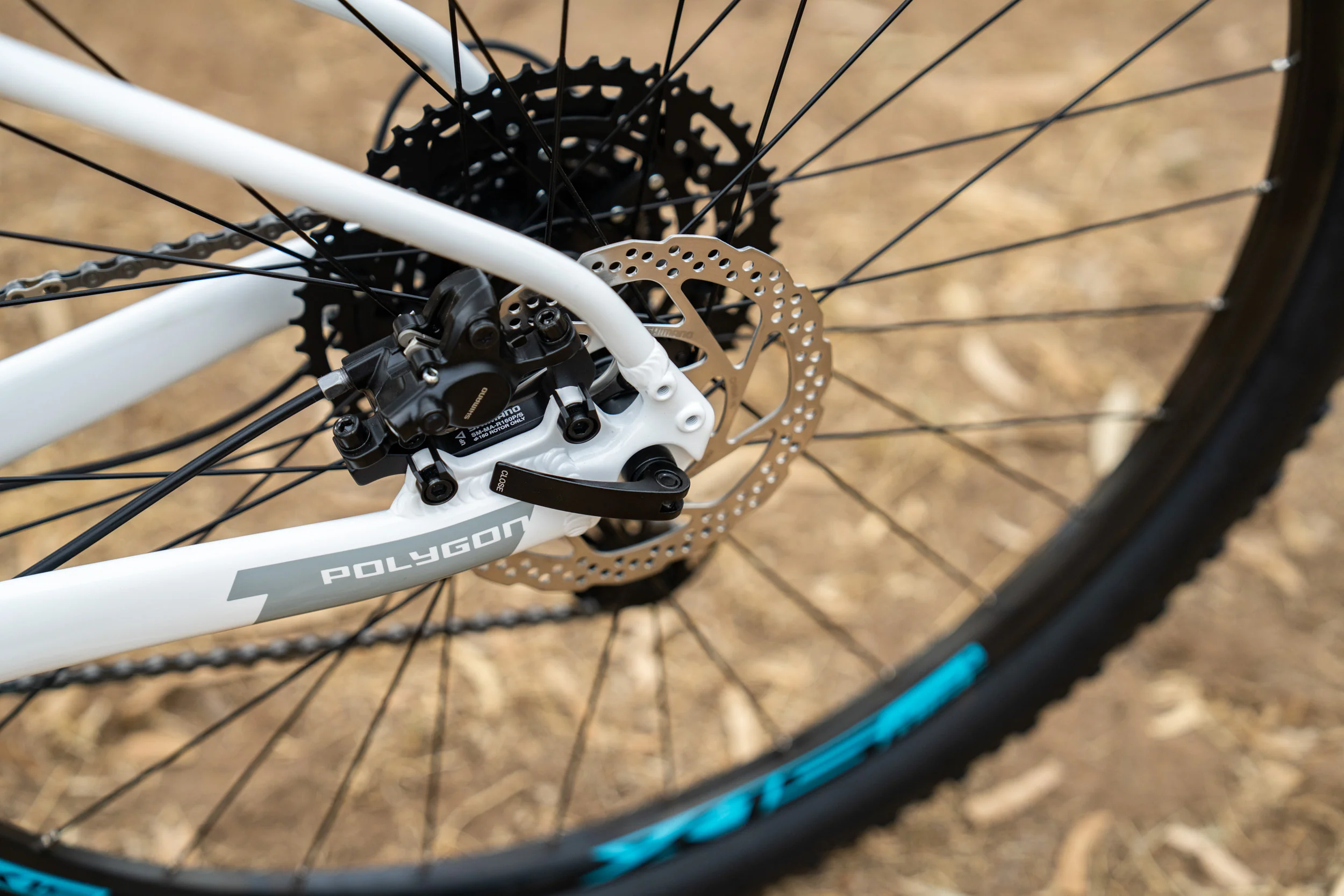 Polygon Xtrada 5 - Mountain Bike - Image 9